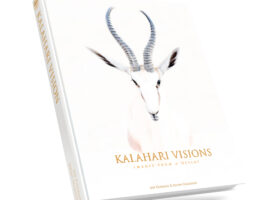 Kalahari Visions book cover