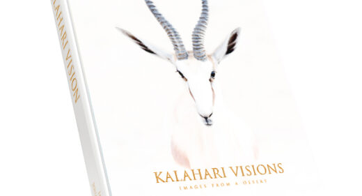 Kalahari Visions book cover