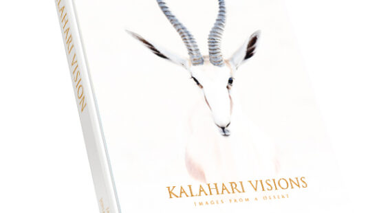 Kalahari Visions book cover